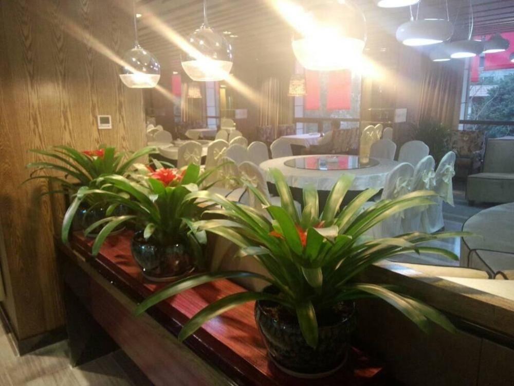 Chengdu Hello Hotel CTU Eksteriør billede